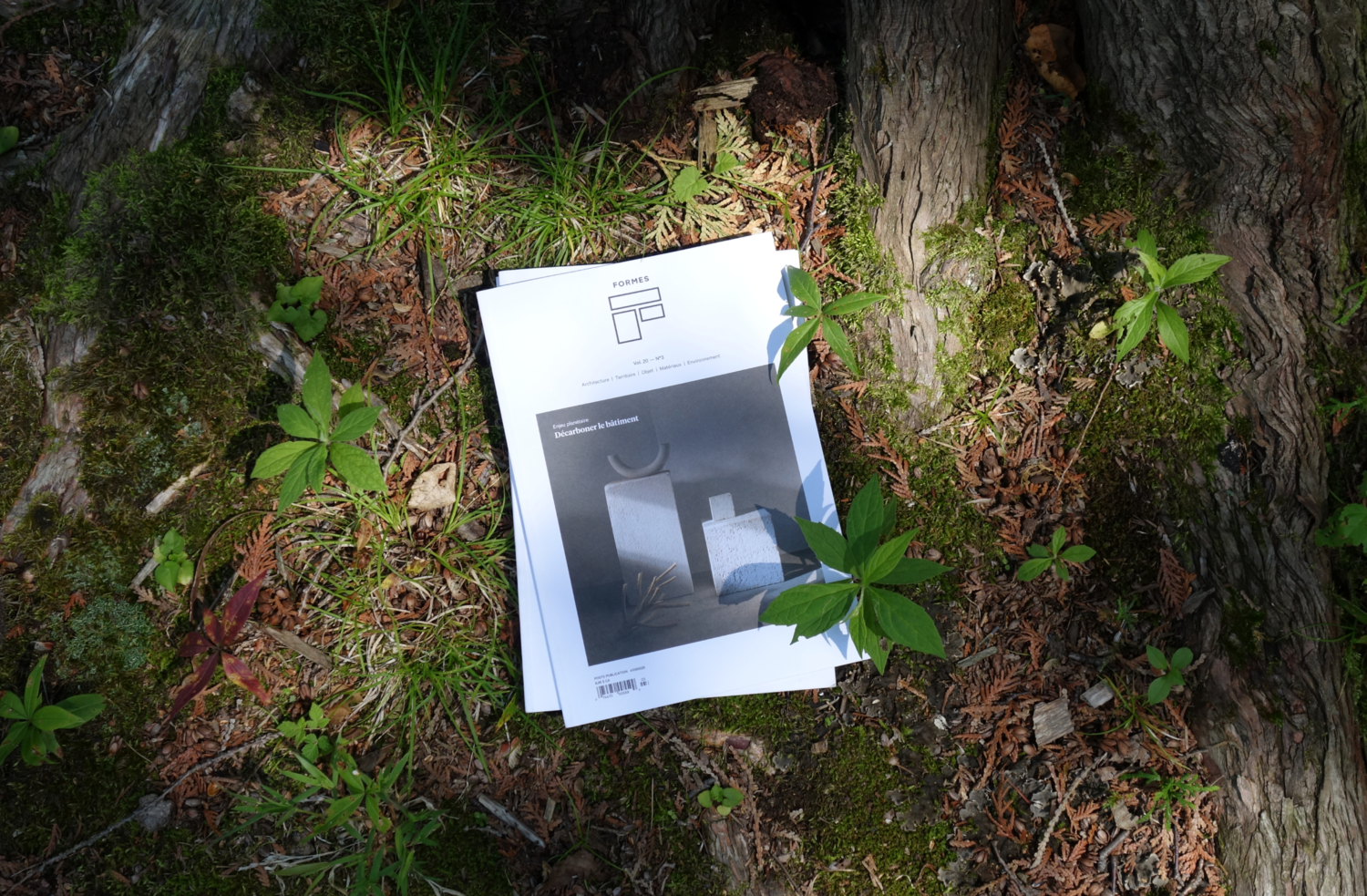 Voici les descriptions pour chaque visuel, optimisées pour le référencement (SEO) : Formes-web-Header Le magazine Formes sur la construction durable repose au pied d’un arbre, au cœur d’une forêt luxuriante. Cette image illustre parfaitement le lien entre l'architecture, le design et les écomatériaux.