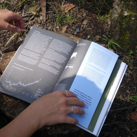 Des mains feuillettent le magazine Formes en pleine nature, dévoilant un article illustré de graphiques sur le secteur de la construction. L'image illustre l'analyse approfondie des enjeux de l'architecture et de l'aménagement du territoire.