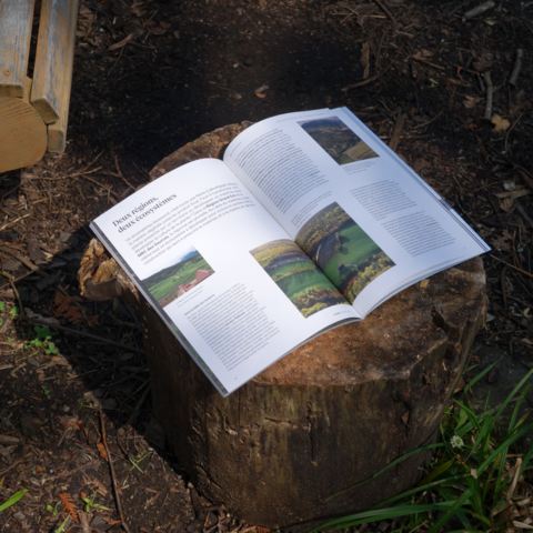 Présenté sur une souche en bois, le magazine Formes expose un article riche en photographies de paysages. Cette image met en lumière les réflexions sur la conception architecturale et la gestion durable du territoire.