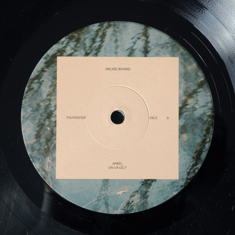 Gros plan de la Face A du disque vinyle de Michel Rivard. Le design épuré et la typographie délicate du titre Après, on va où ? se superposent à une photographie aquatique.