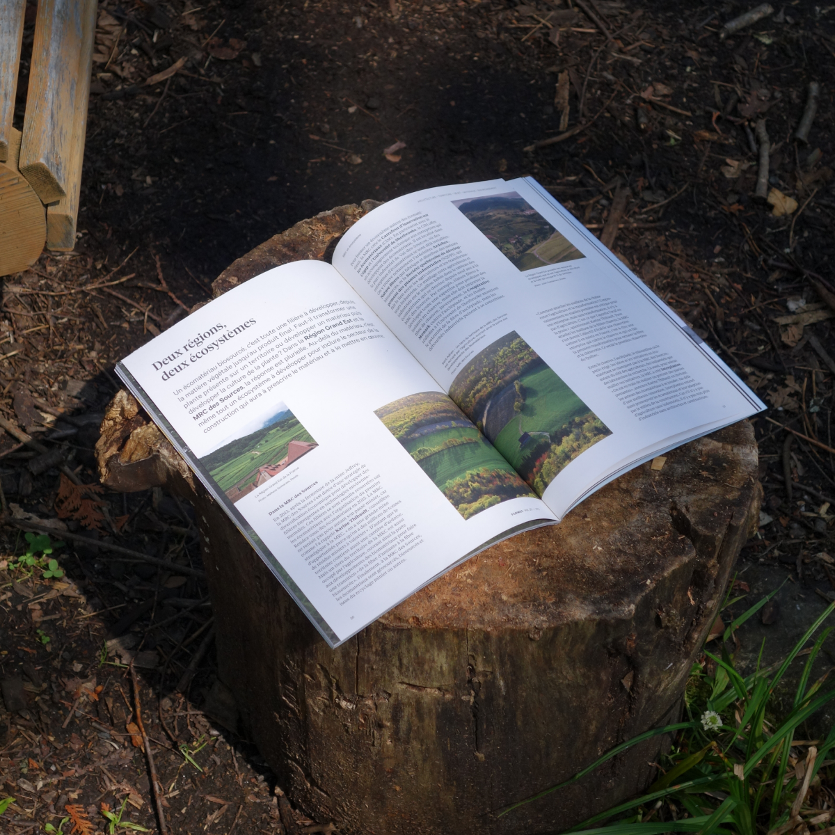 Posé sur une vieille souche d’arbre, le magazine Formes ouvert présente des projets d’architecture de paysage. La scène connecte le contenu éditorial à la matérialité brute et naturelle du bois.